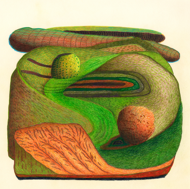 Green Hedged Landscape